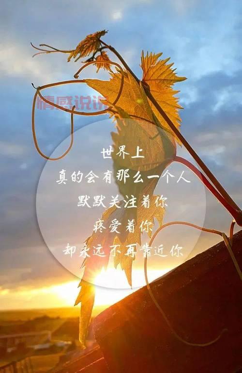 简短情感说说发朋友圈，轻松表达内心感受