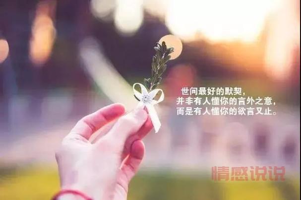 简短情感说说发朋友圈，轻松表达内心感受