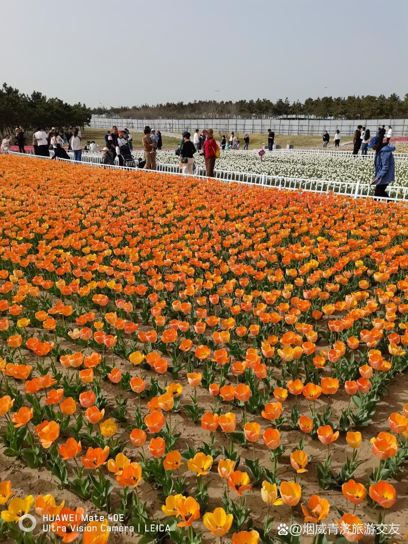 威海交友平台大全：让你轻松找到心仪对象