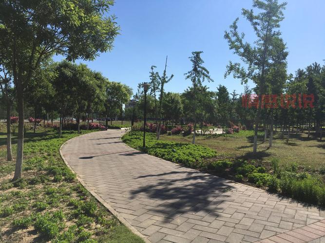 良乡大学城在哪找姑娘？探索最有效的交友途径