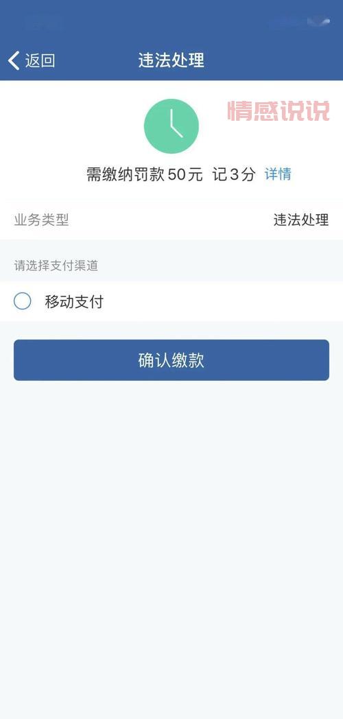 如何使用濮阳交管网处理交通违法记录