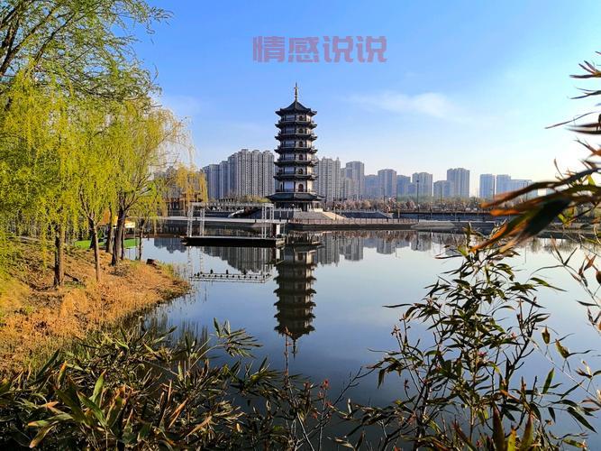 齐河吧最新热点：齐河人生活故事与民生话题汇聚地