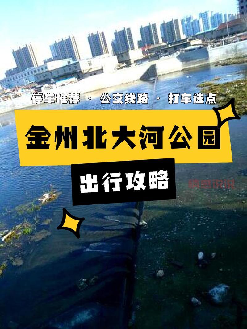 濮阳交通网：便捷查询交通违章与公交信息