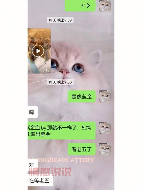 丘比特桥国际交友评价：真实靠谱还是骗局？