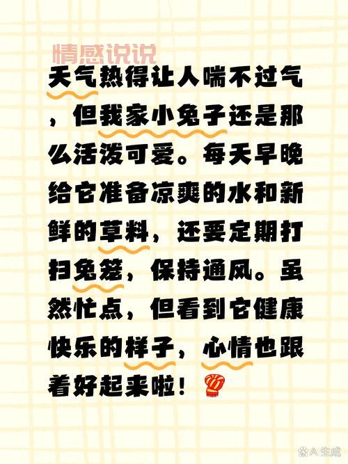 老师的小兔子好软水好多视频完整版在线观看