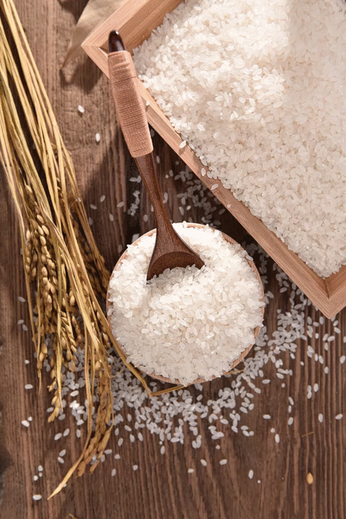 邯郸市房产信息网查询平台：掌握最新房产资讯和楼盘动态