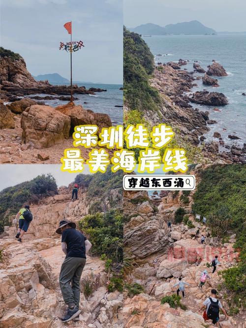 深圳火鸟户外活动召集：西冲露营、徒步、烧烤等精彩体验等你来！