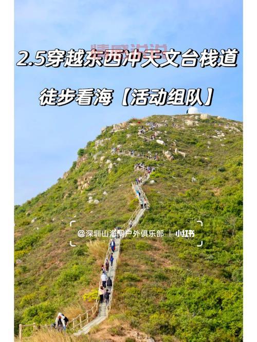 深圳火鸟户外活动召集：西冲露营、徒步、烧烤等精彩体验等你来！