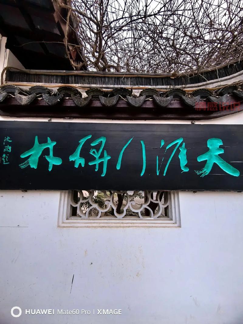 徐州天涯论坛：探索徐州本地热门话题与生活资讯