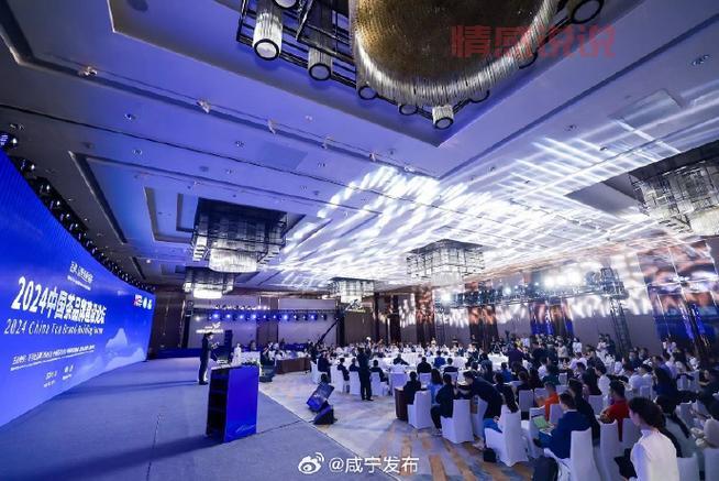 湖北咸宁论坛：探讨咸宁本地热点与文化交流