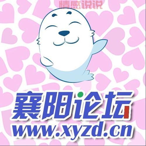 襄阳论坛官方网站— 最新地方资讯与社区互动平台