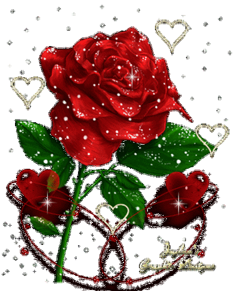 深圳考试网：掌握2024年最新自考与高考报名动态