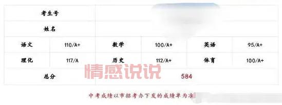 深圳招考网毕业审核最新动态：查询结果、发证时间与注意事项