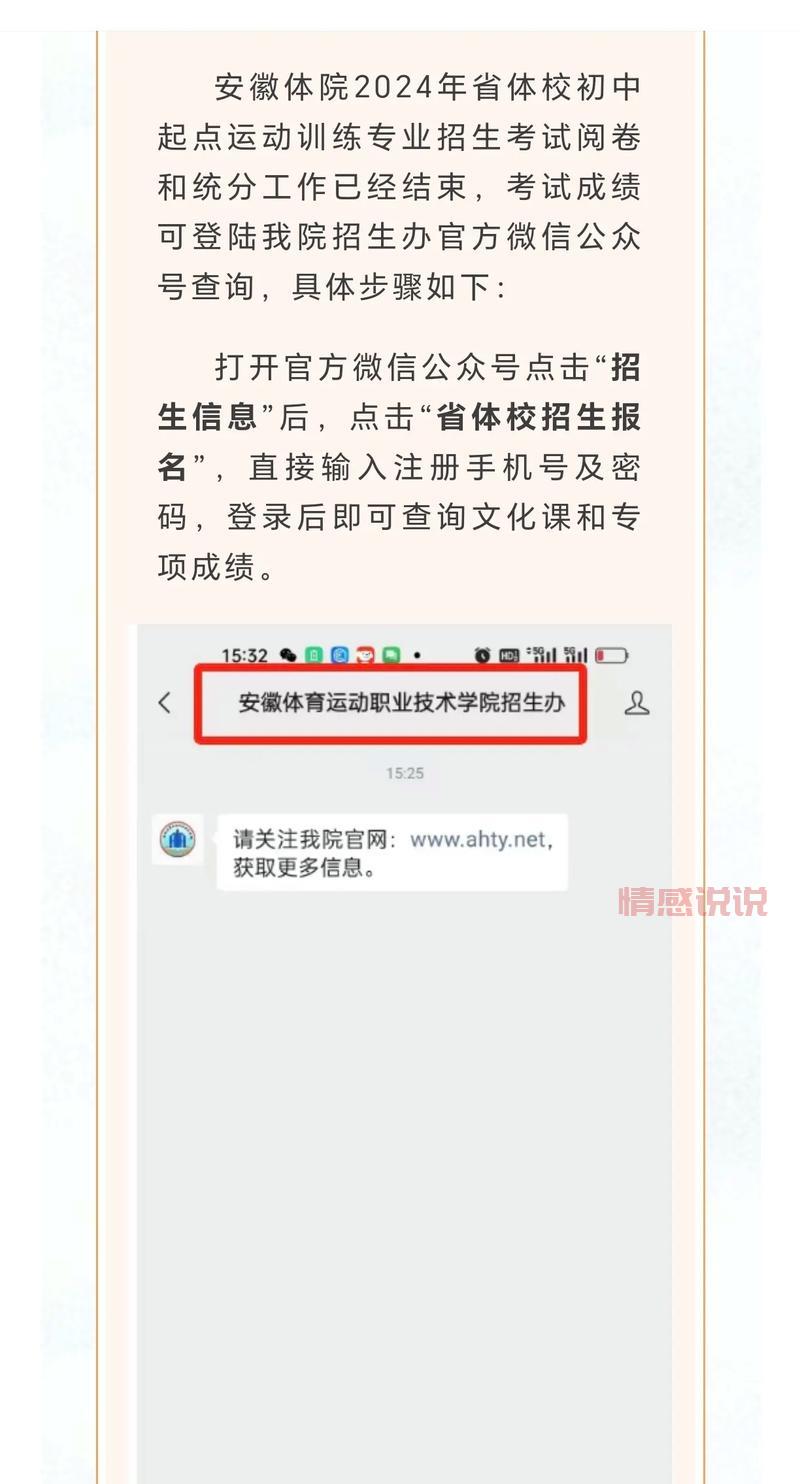 深圳招考网：2024年中考成绩查询及招生信息一站式服务