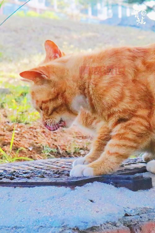 平顶山学院吧百度贴吧，校园生活趣事一起聊聊吧！