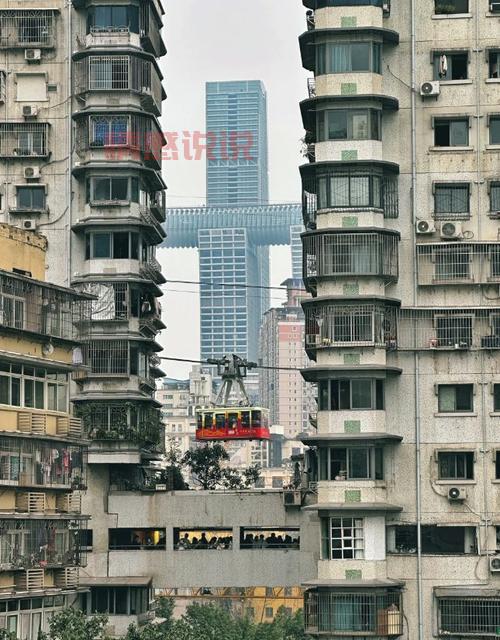 重庆同呈教育观音桥校区在哪里？地址电话报名方式全攻略