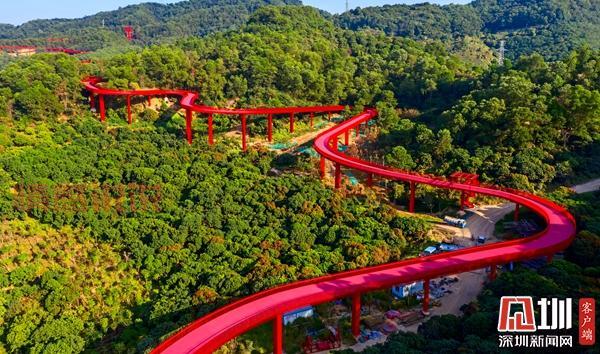 平顶山西站最新简介：出行必看乘车指南及周边信息