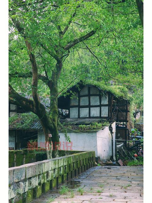 重庆周边必游古镇推荐，周末就去这些地方玩