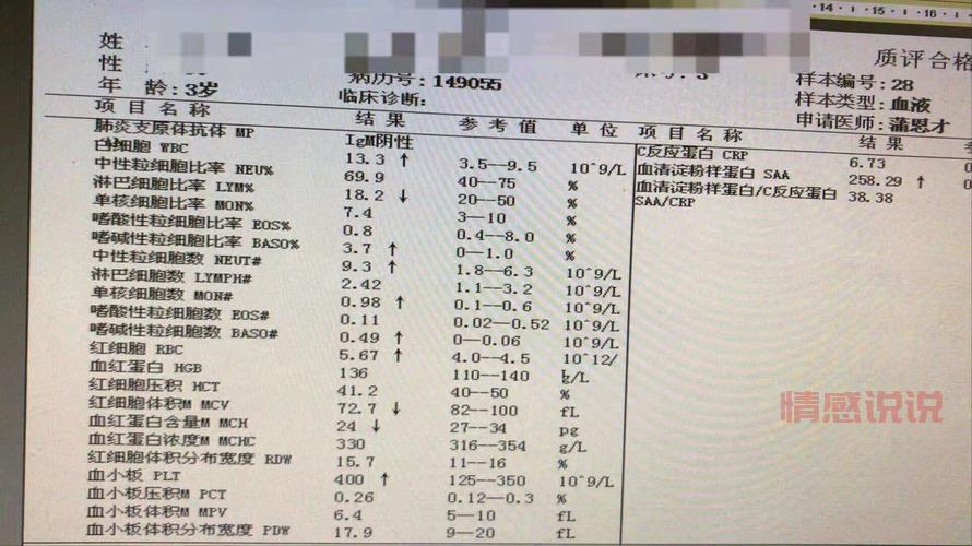 重庆同城运费到底多少钱？一分钟帮你快速估价！