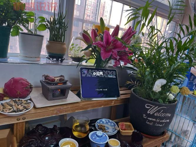 宅家无聊？隔离期间和妈妈玩这些，轻松打发时间还能增进感情！