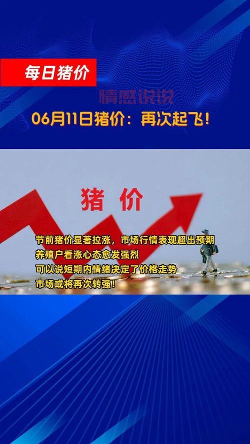 想知道固原今日猪价？这个信息一定要看！