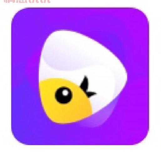 想找与外国人视频交流的软件？这几个值得收藏！