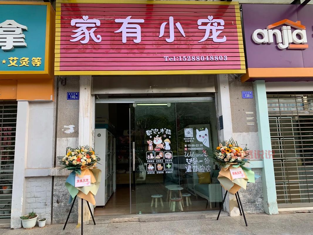 同城配送平台开业啦！哪些平台好用又实惠？