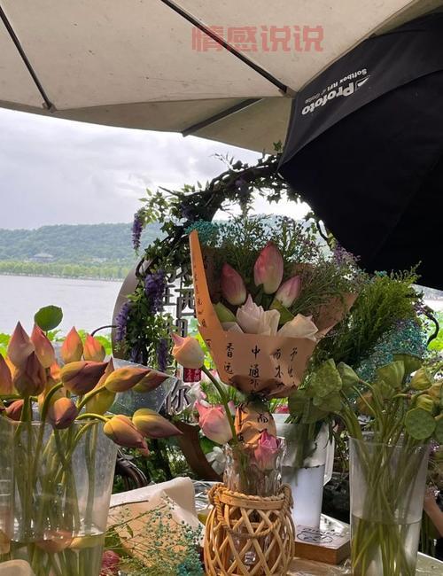 想找靠谱的杭州西湖区论坛？试试这几个！