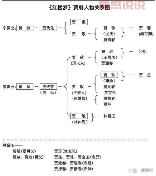 贾源和贾演是什么关系？一个视频讲清楚！