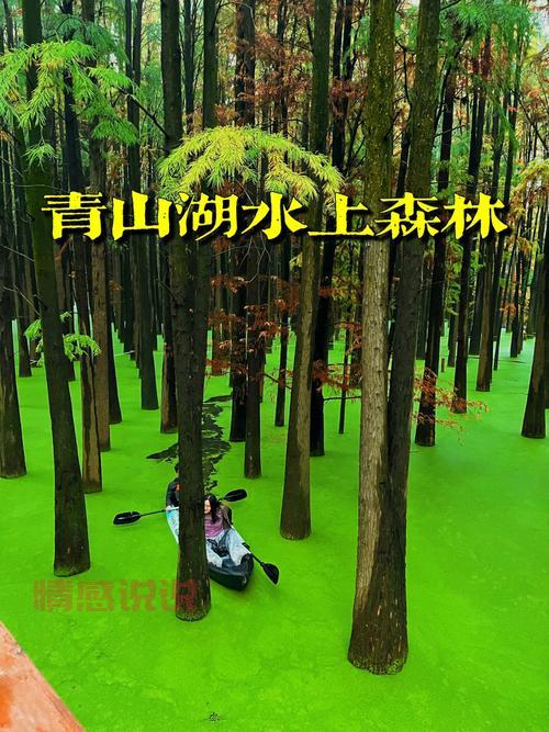 杭州青山湖在哪个区啊？游玩攻略来咯速看！