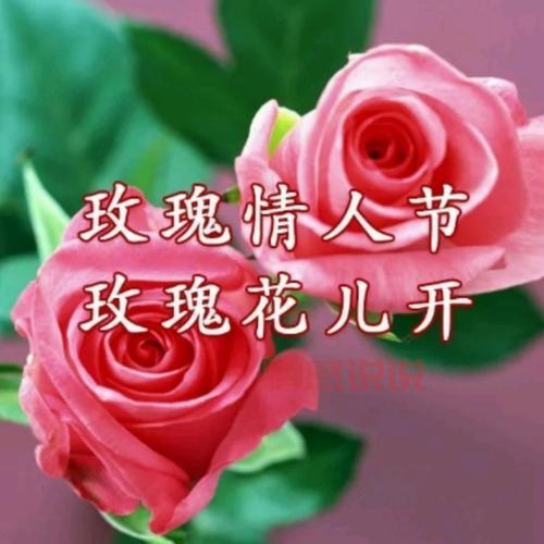 还在单身？玫瑰情人交友网试试，帮你找到TA！