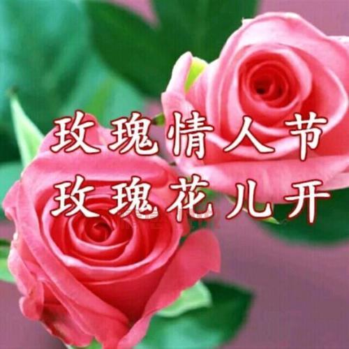 还在单身？玫瑰情人交友网试试，帮你找到TA！