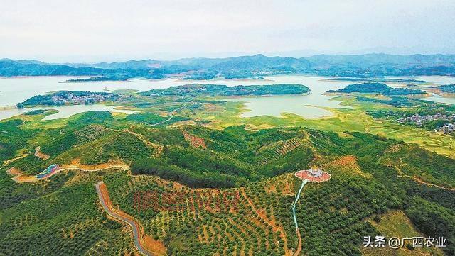 今天！百色右江区新闻最新消息头条都在这儿了！