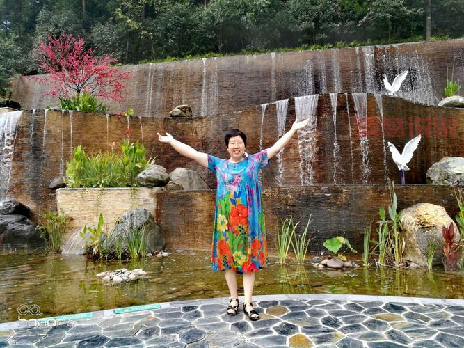 想知道德州单身佛友征婚信息？看这里就够了！