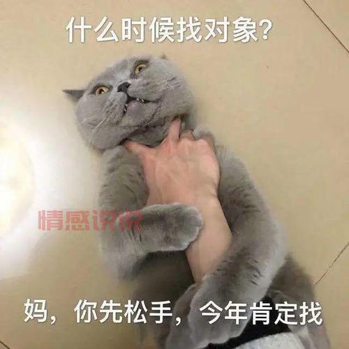 交友途径有哪些？教你几招找到靠谱的对象！