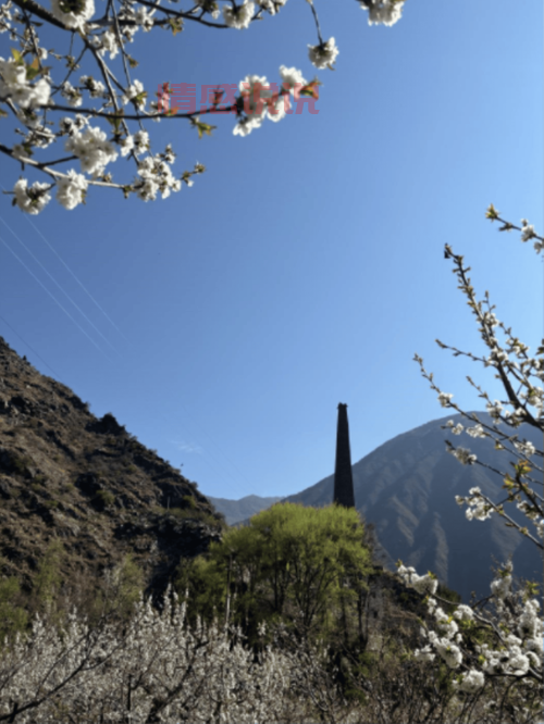 想了解金川公司，就来金川公司贴吧看看吧！