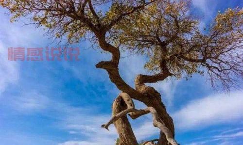 甘肃金昌为什么出美女？原来和这些因素有关系！