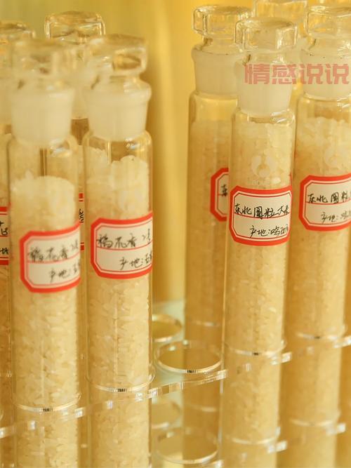 吴江老师卖的哪里可以买到？官方渠道在这！