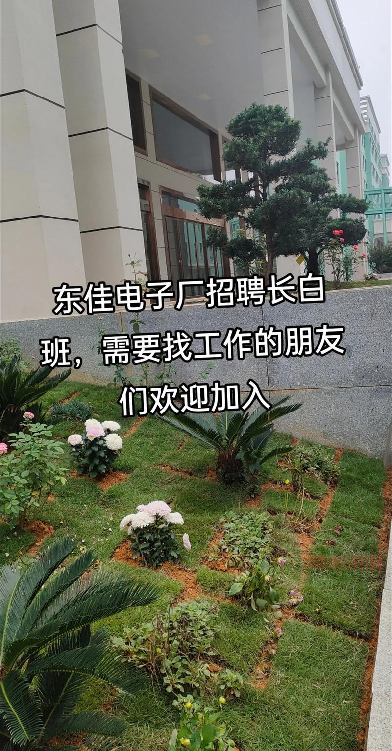 想找工作？长沙星沙今天最新招聘白班岗位推荐！