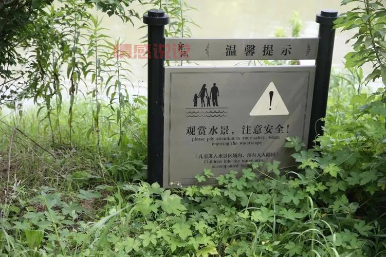 沈阳直播生活最新消息，你想知道的都在这里！