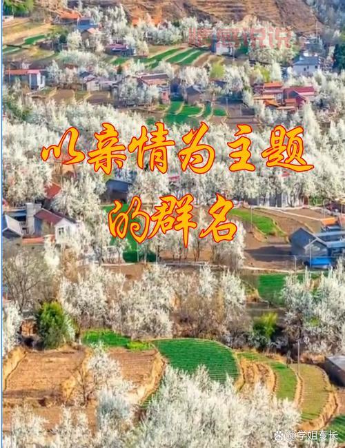 有趣的单身相亲群名推荐！让你的群聊更热闹！