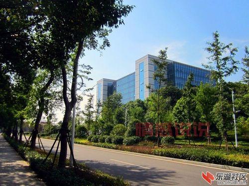 大冶论坛有什么用？本地生活信息都在这！