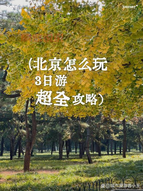 北京女生找个北京的男朋友，这几点要求得有！