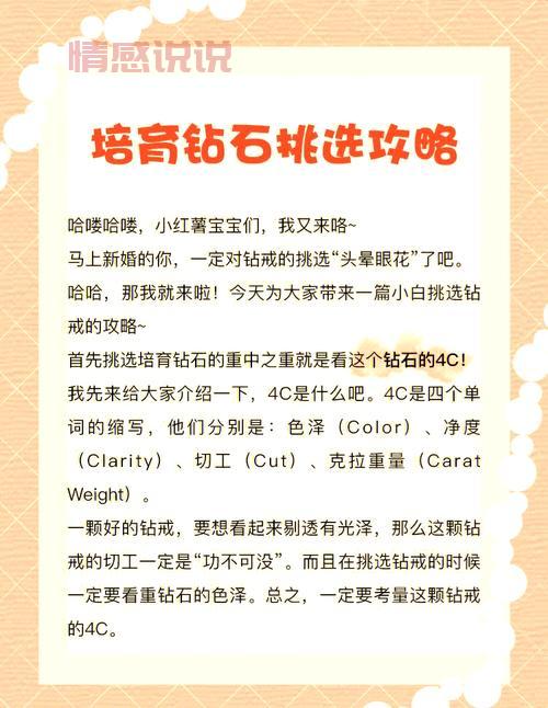 怎么做网上婚介？新手小白也能轻松上手的指南！