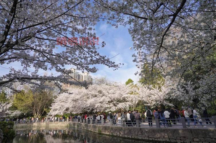 郑州人民公园解封了吗？想去玩的朋友必看！