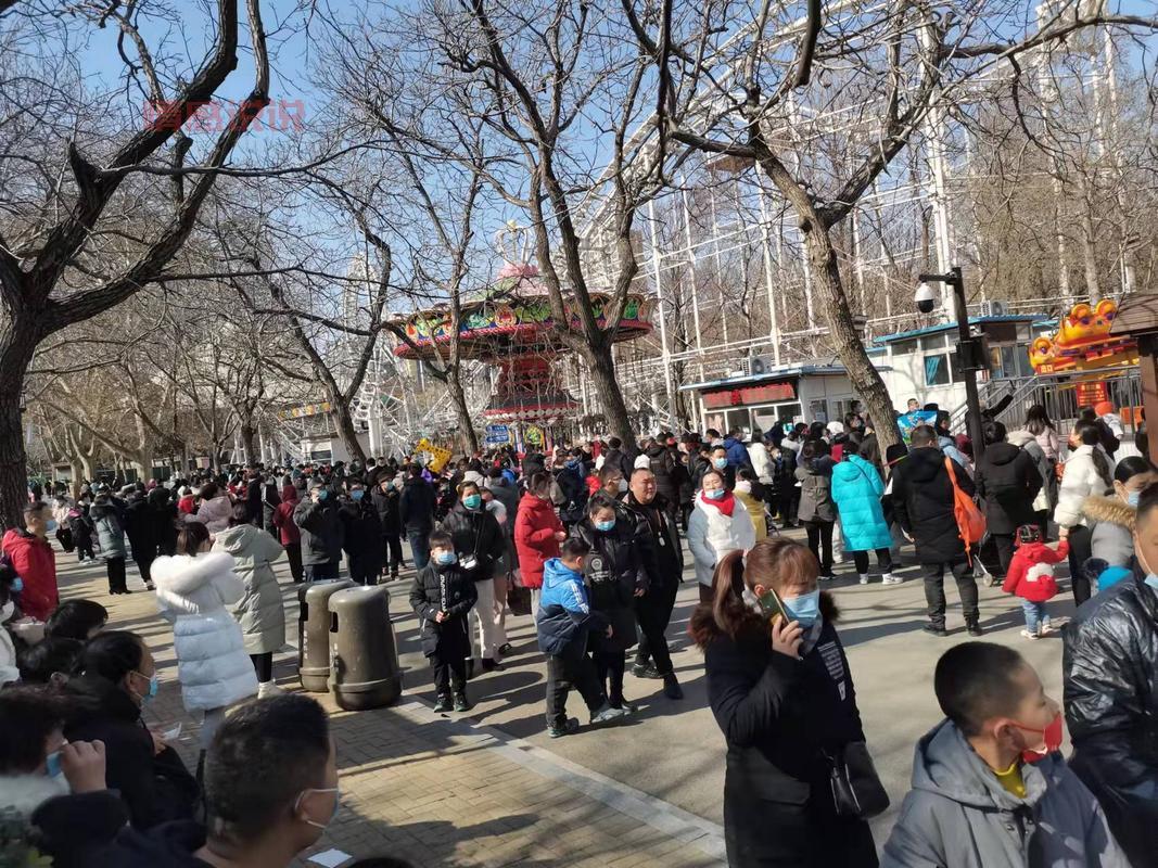 郑州人民公园蹦极票价大揭秘，看完再决定去不去！