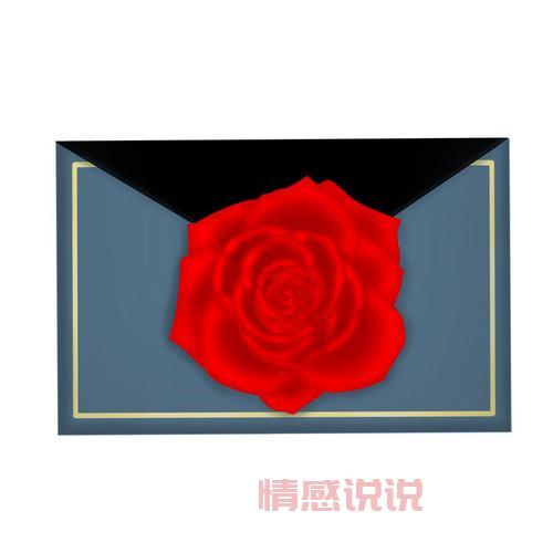 玫瑰情人网密码找回流程详解，一看就会！