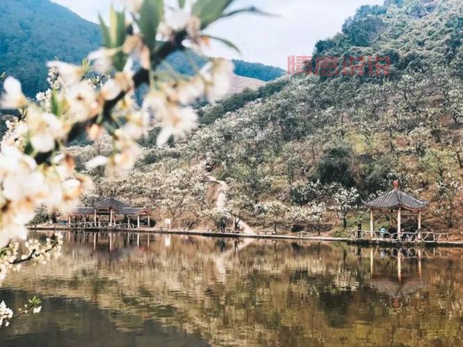 铜梁约会群是真的吗？亲身经历告诉你真相！