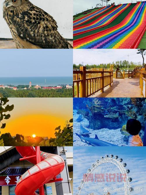 日照相亲网哪个靠谱？本地人推荐的几个平台！