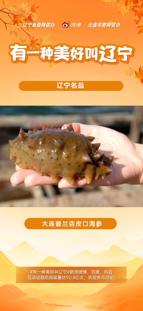 大连百姓网官方是啥？大连人都在用的本地宝藏！